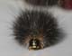 asm_0574_SaltMarshMothCaterpillar