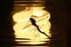 s8395_spiderDinner